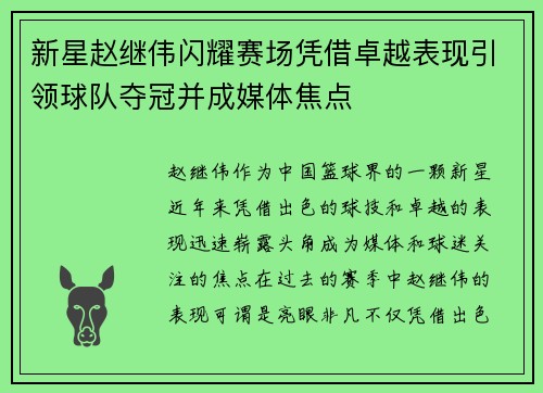 新星赵继伟闪耀赛场凭借卓越表现引领球队夺冠并成媒体焦点