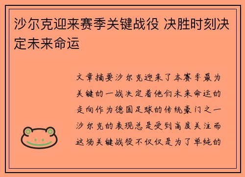 沙尔克迎来赛季关键战役 决胜时刻决定未来命运