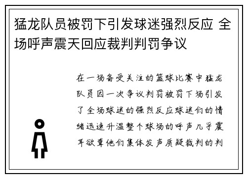 猛龙队员被罚下引发球迷强烈反应 全场呼声震天回应裁判判罚争议