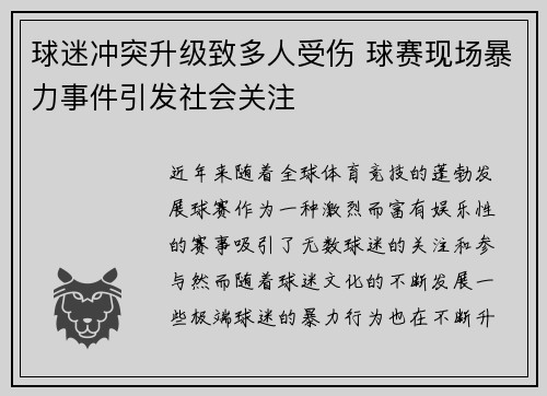 球迷冲突升级致多人受伤 球赛现场暴力事件引发社会关注